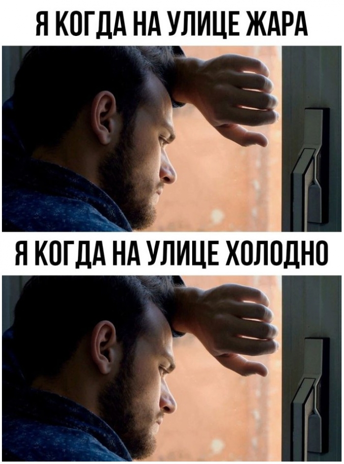 смешная картинка