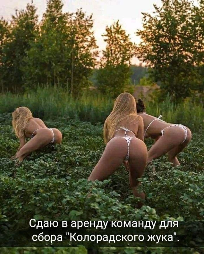 Подборка фотоприколов № 1289