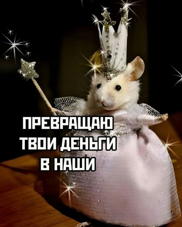 Подборка фотоприколов № 1291