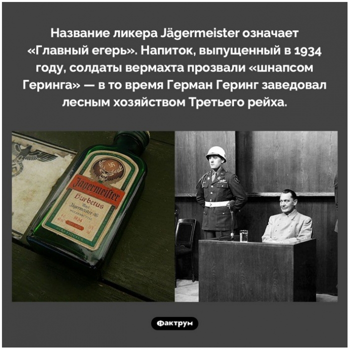 Интересные факты в картинках