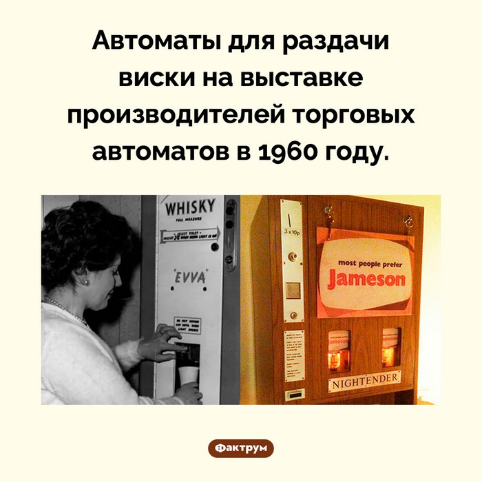 Факты в картинках
