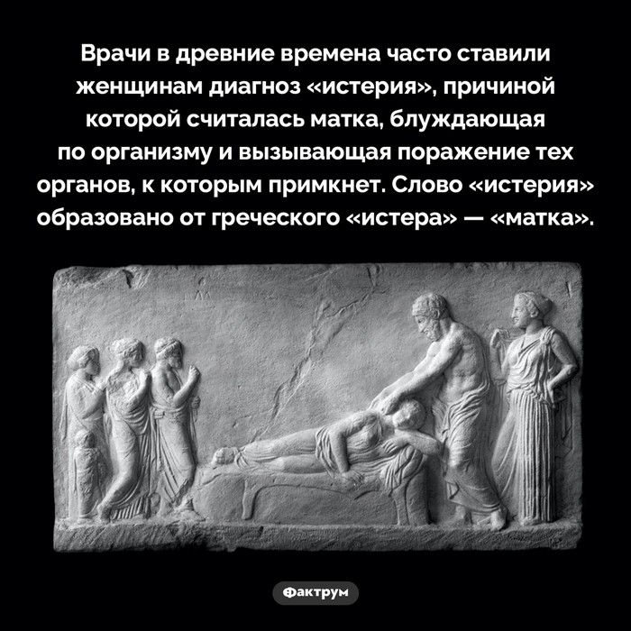 Познавательные факты