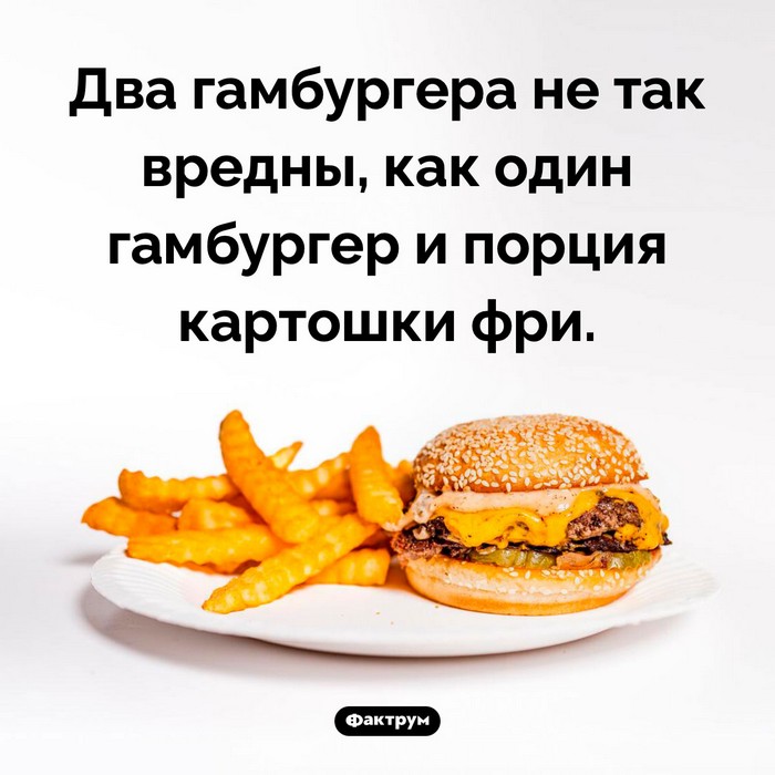 Интересные факты в картинках