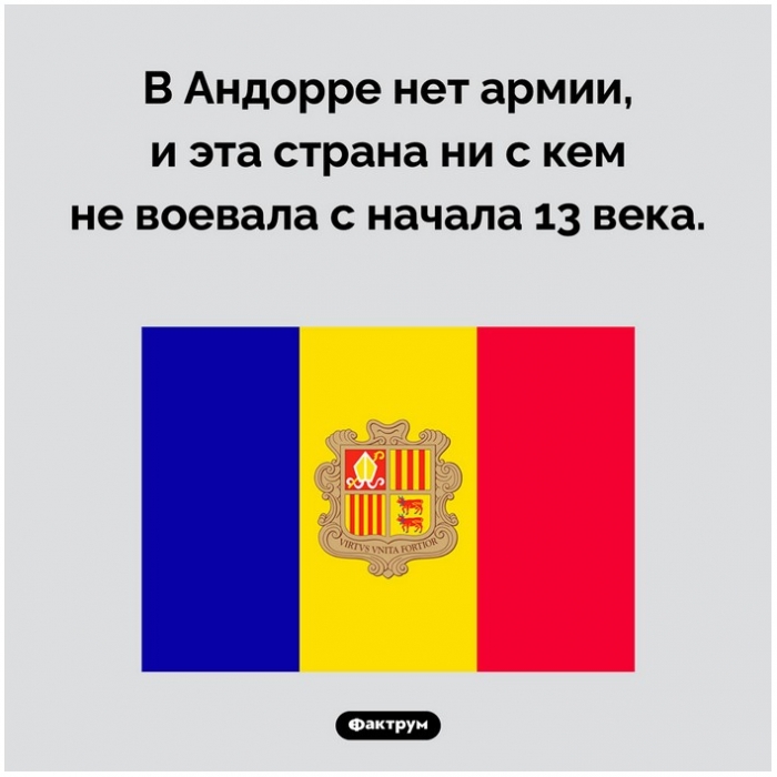 Интересные факты
