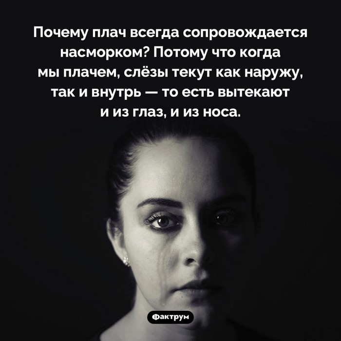 Факты!!!