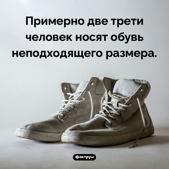 Факты обо всем
