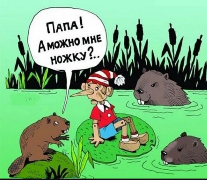 Прикольные картинки