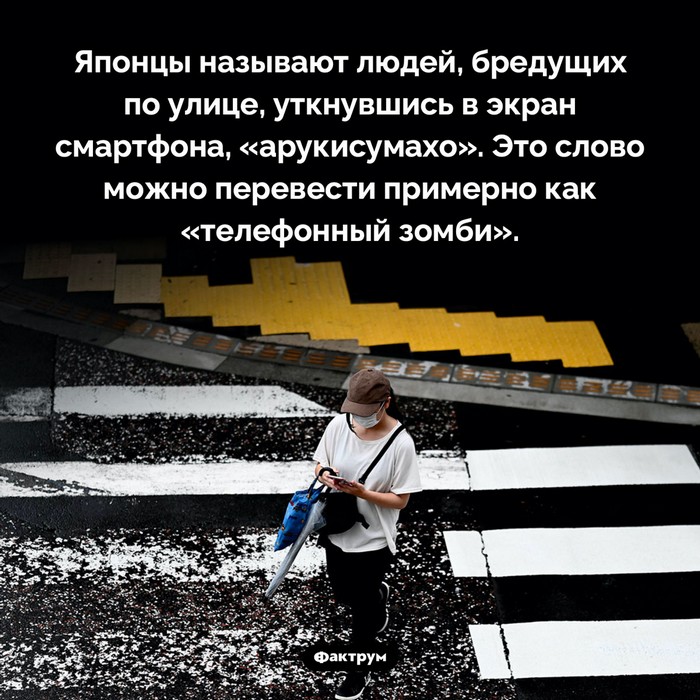Факты в картинках обо всем