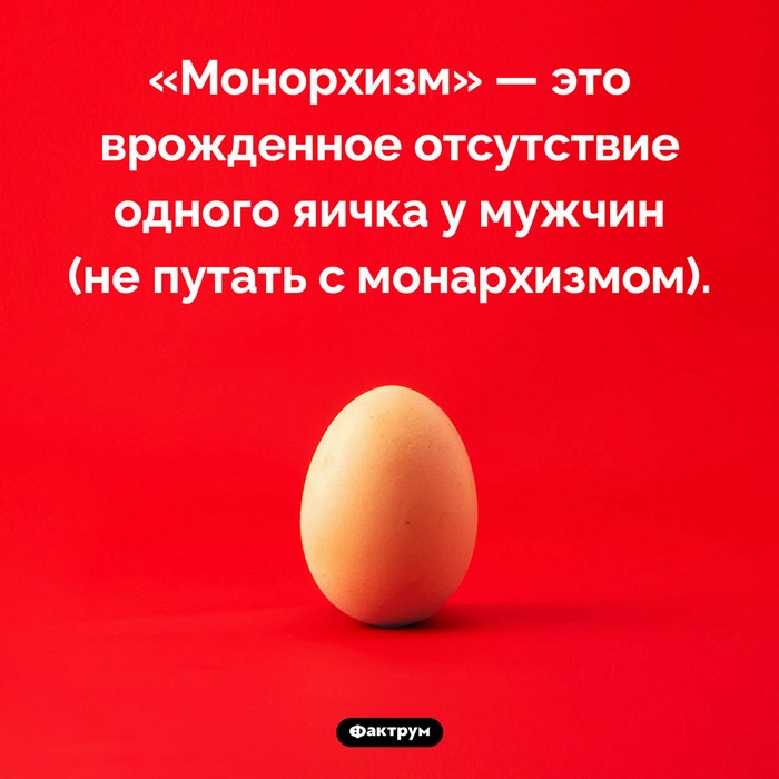 Интересные факты обо всем (очередная подборка)