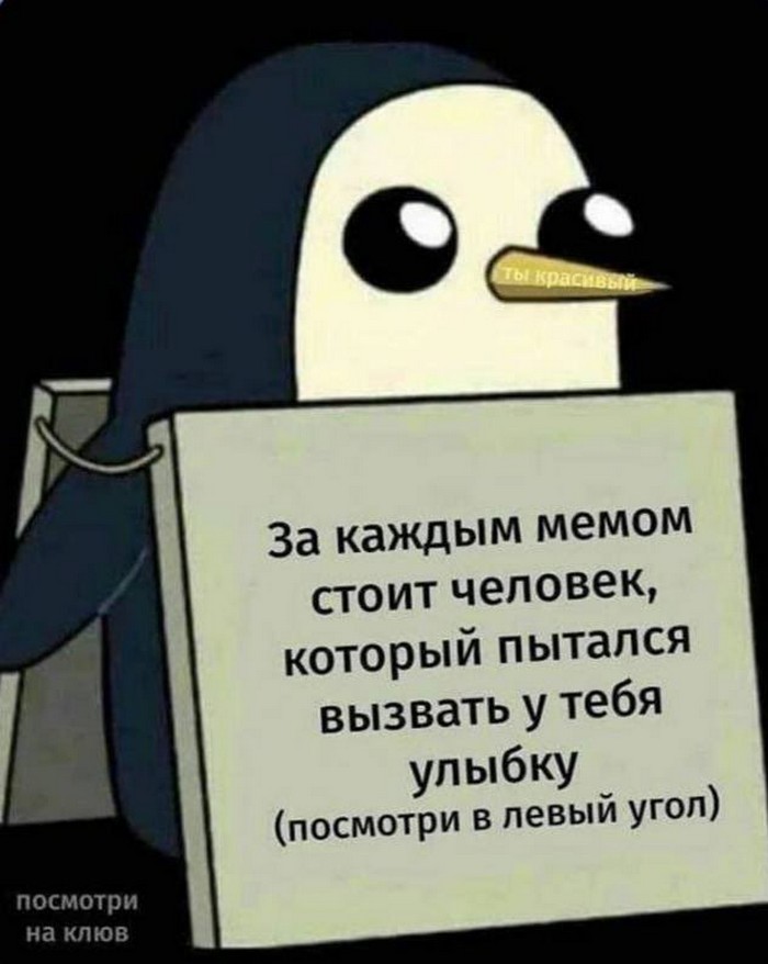 Прикольные картинки