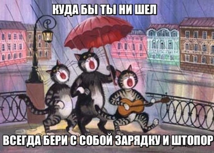 Прикольные картинки