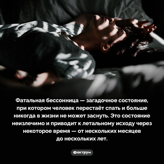 Факты!