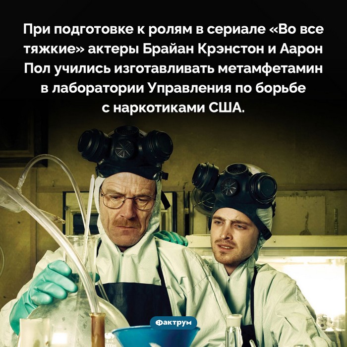 Занимательные факты