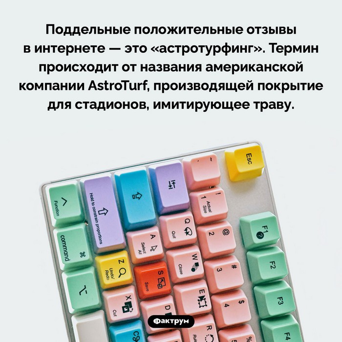 Занимательные факты