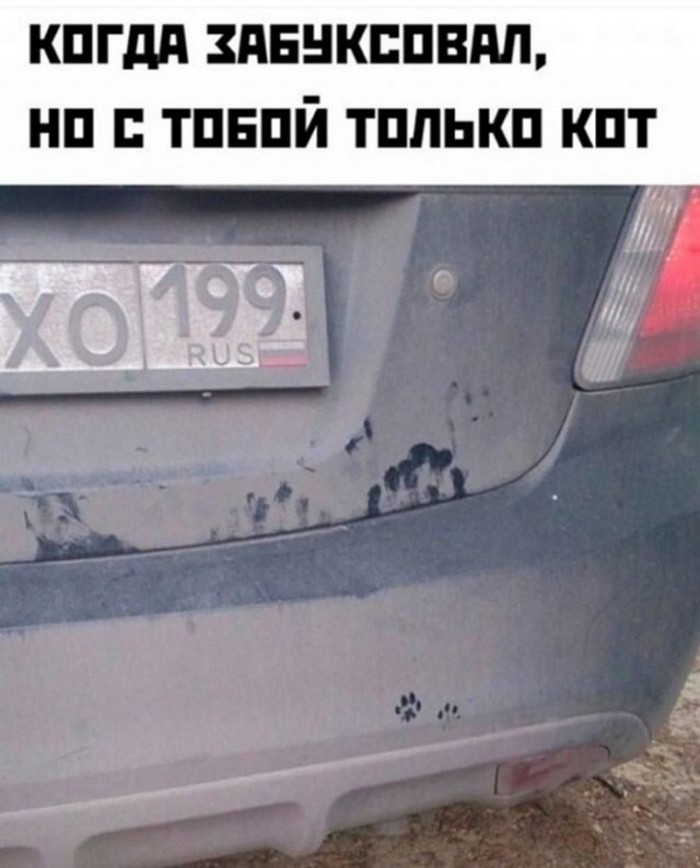Подборка фотоприколов № 1303