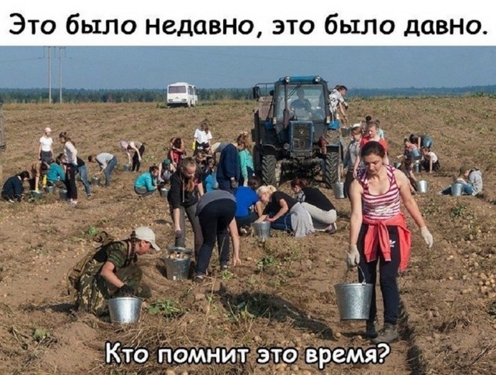 Подборка фотоприколов № 1304