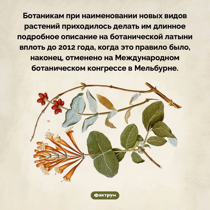 Интересные факты в картинках