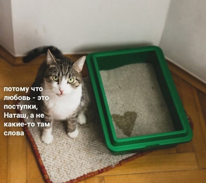 Подборка фотоприколов № 1307