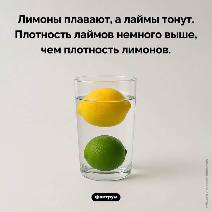 Интересные факты обо всем (очередная подборка)