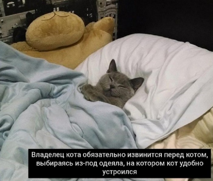 Подборка фотоприколов № 1309