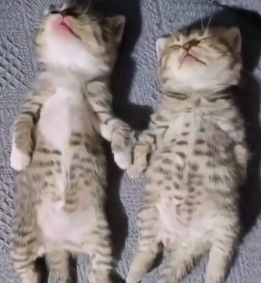 Настроение этого ноября