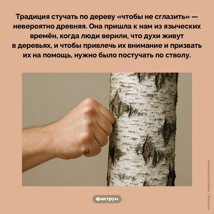 Факты интересные и увлекательные