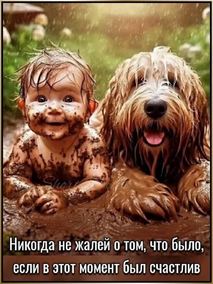 Подборка фотоприколов № 1312