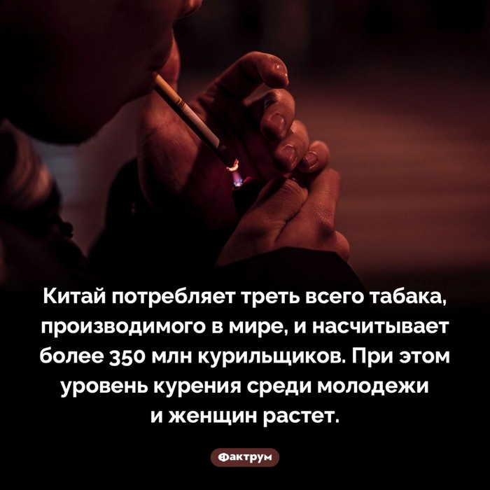 Факты обо всем