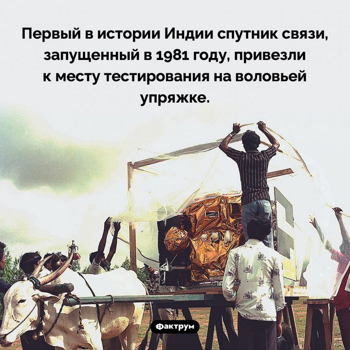 Занимательные факты