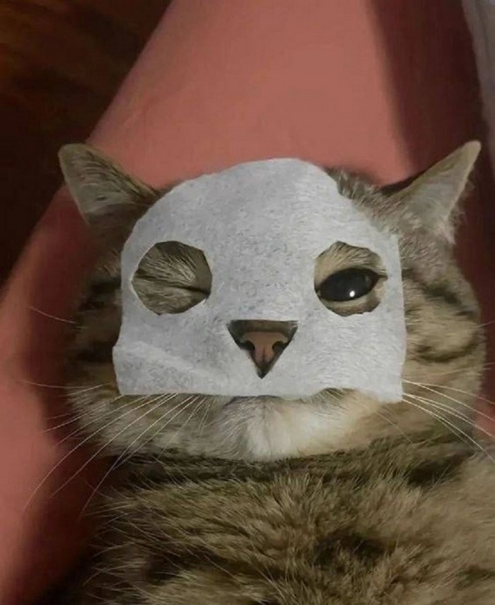 Подборка фотоприколов № 1317