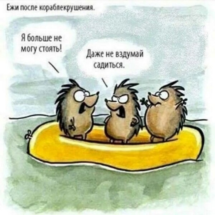 Прикольные картинки