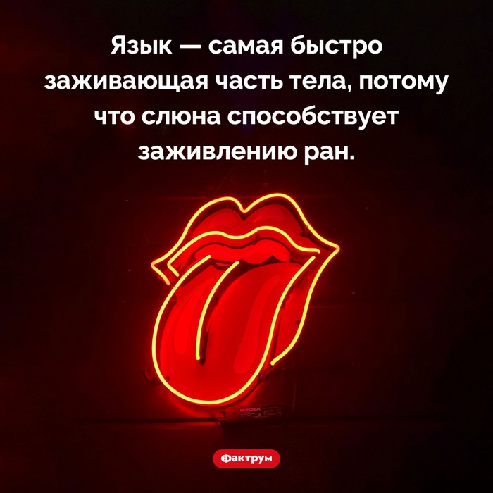 Увлекательные факты