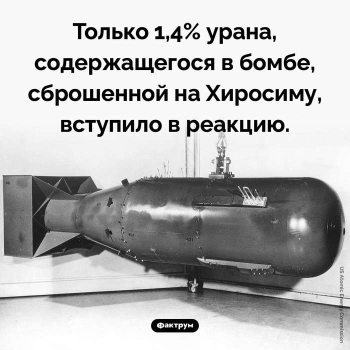 Занимательные факты