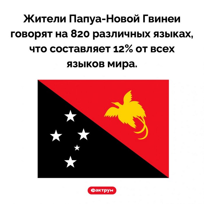 Факты в картинках