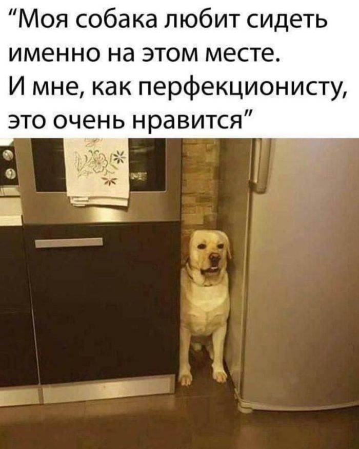 Подборка фотоприколов № 1320