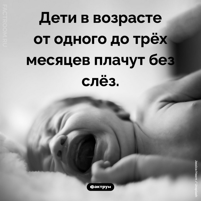 Интересные и удивительные факты обо всем (очередная подборка)