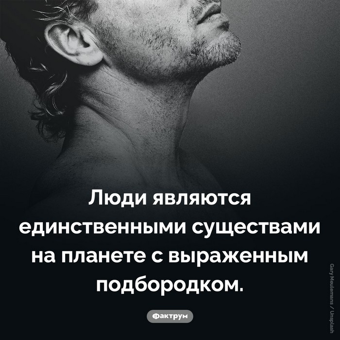 Интересные факты