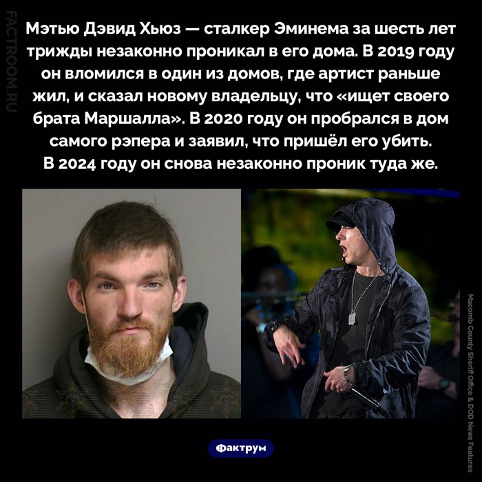 Факты в картинках