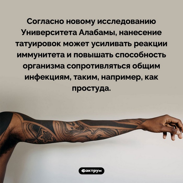 Интересные факты обо всем (очередная подборка)