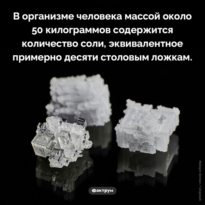 Факты в картинках