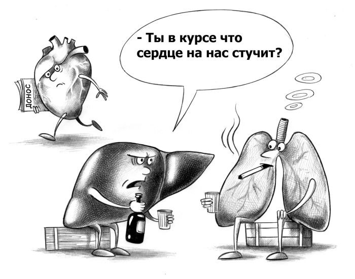 Прикольные картинки