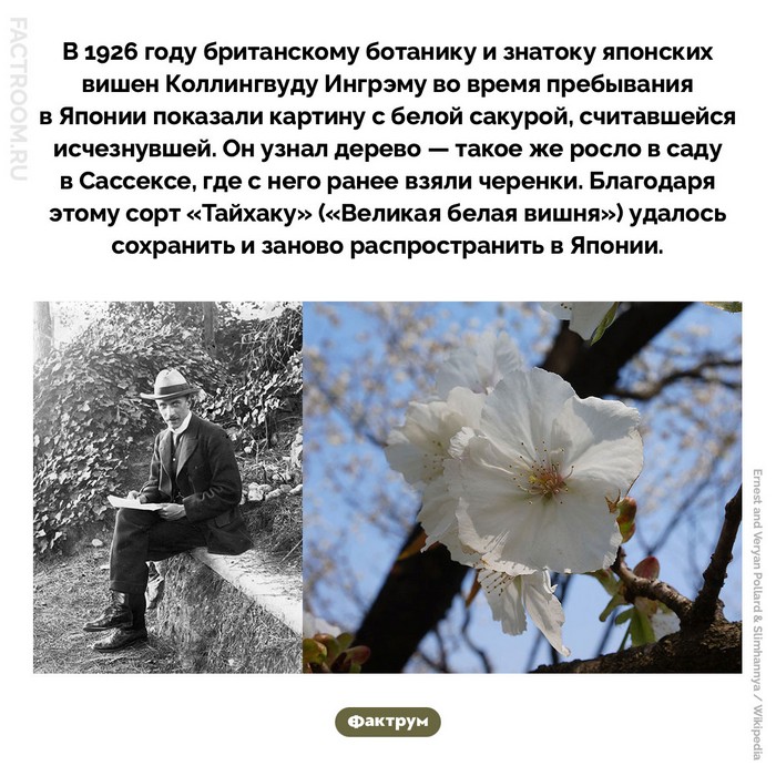 Занимательные факты
