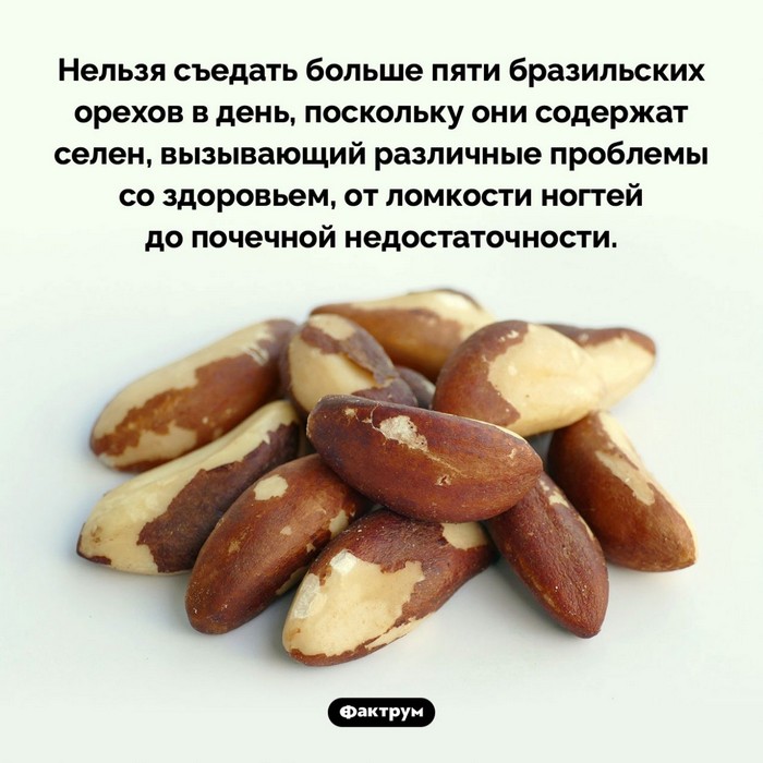 Факты об овсем