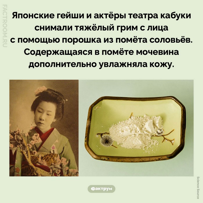 Факты об овсем