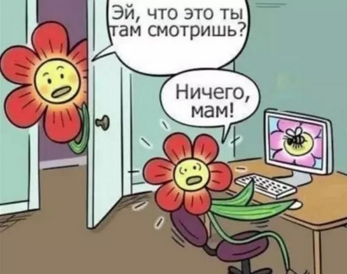 Прикольные картинки