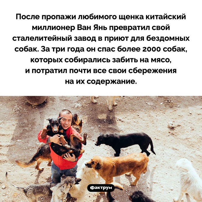 Факты в картинках