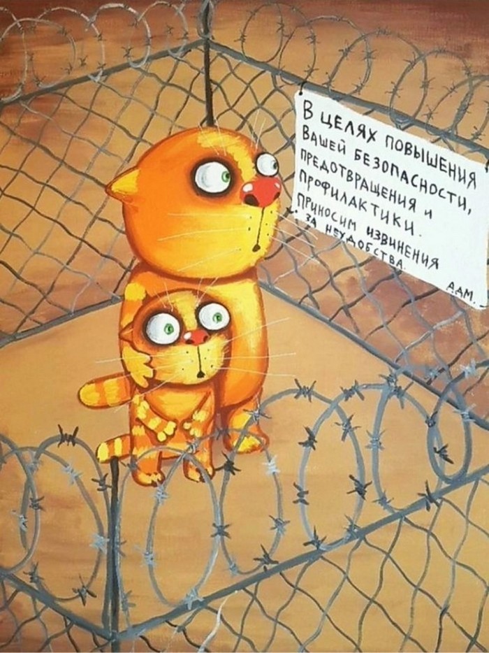 Прикольные картинки