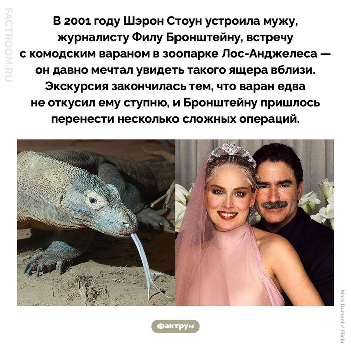 Интересные и удивительные факты обо всем (очередная подборка)