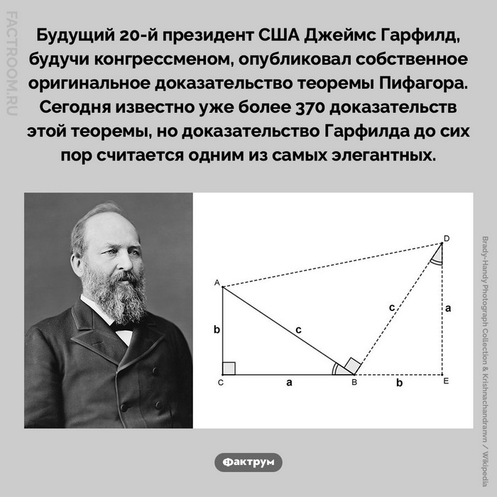 Интересные и удивительные факты обо всем (очередная подборка)
