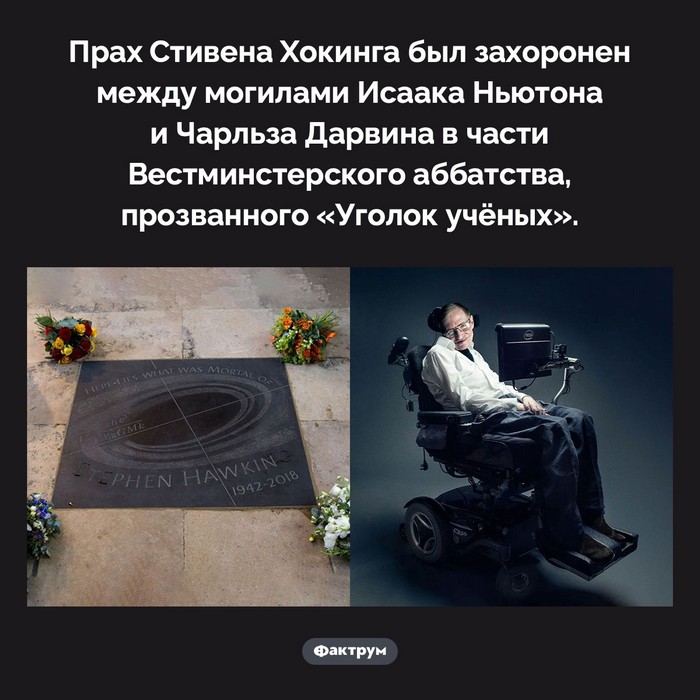 Факты!